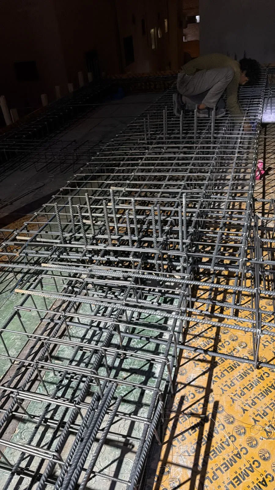 صورة المقال