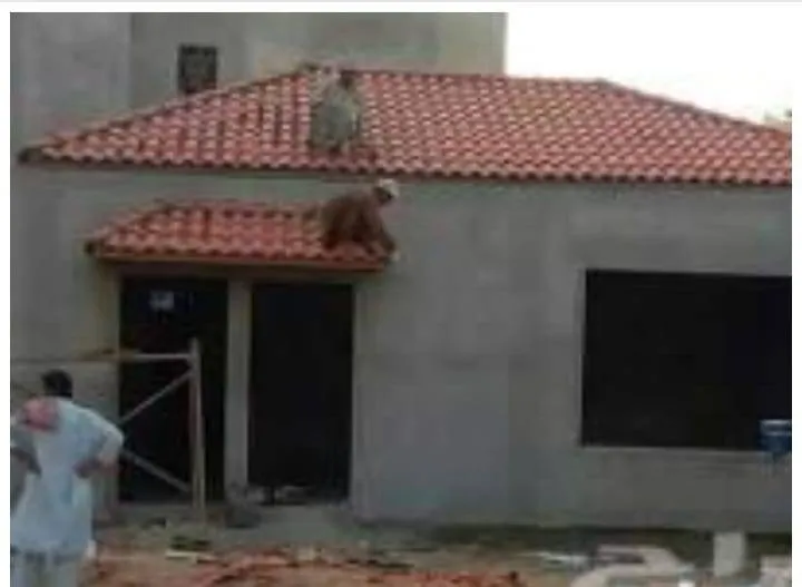 أفضل ملاحق مودرن صغيرة في حي الربيع وحي الرمال:أفكار مبتكرة