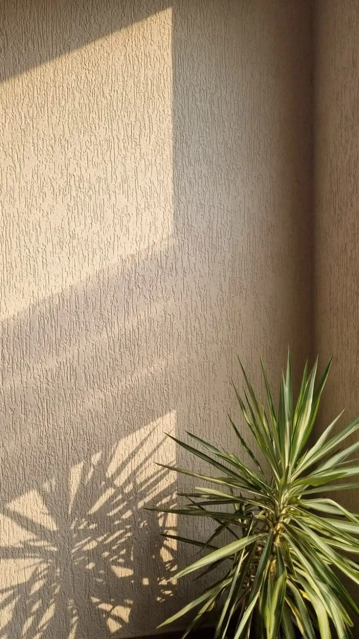 بروفايل واجهات في حي النرجس| تصميم وتركيب واجهات مودرن